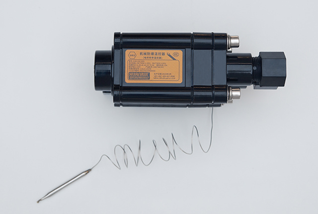 BJW電伴熱防爆溫控器